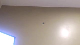 ashlynnstorm 18/6/19