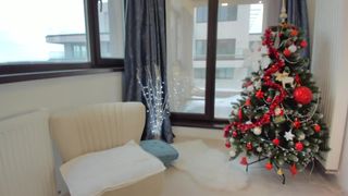 playful_medeea 2019-01-16