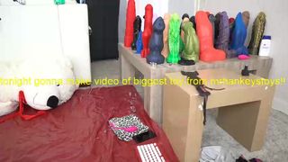 siswet19_16_june_2019