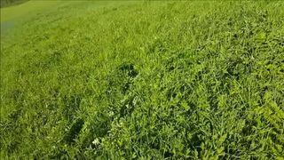 Public Naked Woodland Fuck & Swallow