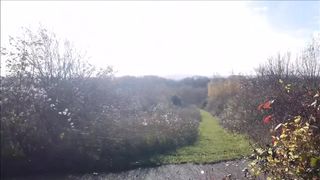 Outside Bird Watching with more Sex