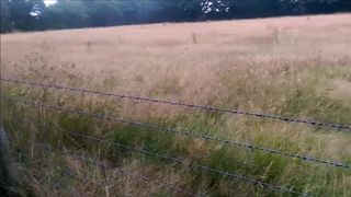 Swallowing Cum outside in the Countryside