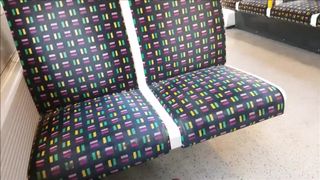 Quick Blow Job & Swallow on the Train