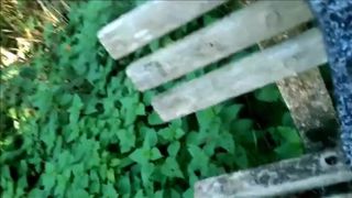 Park Fun Fucking and Sucking Cock