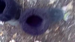 Strip Teasing but Dropped Camera Blonde out in Public
