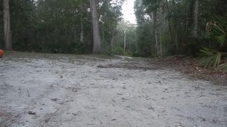 Frisky Blonde Striptease outside in Nature gets Topless with Nice Ass