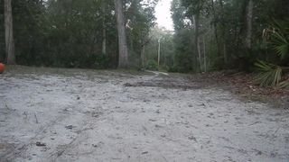 Frisky Blonde Striptease outside in Nature gets Topless with Nice Ass