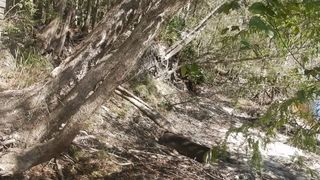 Blonde Halloween Peacock Sunbathing Striptease goes Wrong Possum Stops her