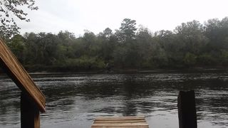 Toned Blonde in Bikini Public Striptease near River in Florida goes Topless