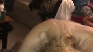 Hot Teen Wife with first BBC