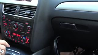 Riskanter Waldfick Mit Einem Fremden!