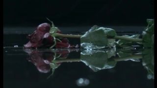 etvshow-Karry and Mashiara