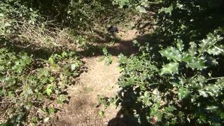 First Time Outdoor BJ Scene