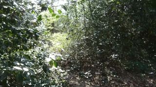 First Time Outdoor BJ Scene