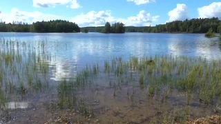 SQUIRTING MILF OUTDOOR HIDDEN CAM CAUGHT GIRL MASTURBATE AMATEUR ORGASM