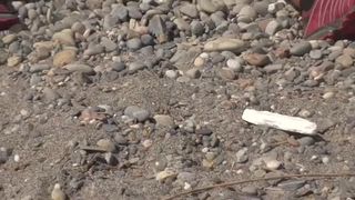 Caught on Public Beach