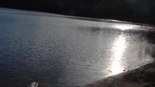 Public Beach Blowjob Cum on Huge Big MILF Ass