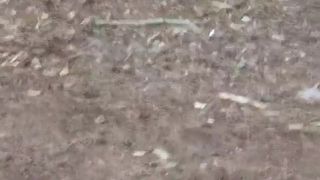 OUTDOOR MILF CAUGHT IN THE WOODS MASTUBATE HIDDEN CAM