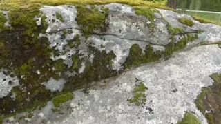 OUTDOOR BJ ON A BIG ROCK