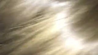 College Girl Sucks Tiny Penis so Nerd will do her Homework