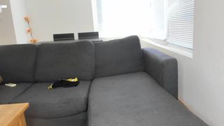 Yourdreamcometruee 1566904786