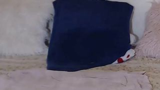 aswildorange 31082019