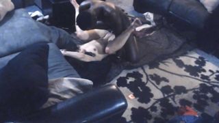 Extremely Hot Interracial Scene. must See!