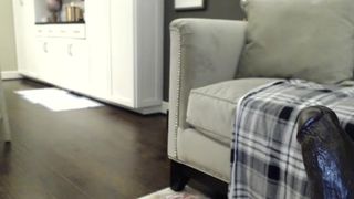 Bridgettexoxo big dildo cum