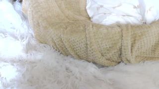 Ashlie_Lotus 04/12/18