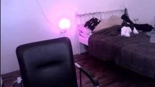 Coryhenryofficial 2019_10_12 (crazy cat included)