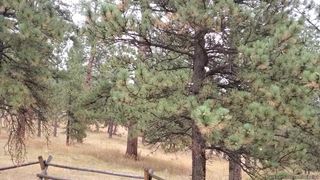 Lexi Belle - Cumming in the Car