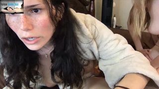 Eevee_bee anal 2019-08-11