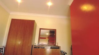 wildtequilla 22-08-2019 3