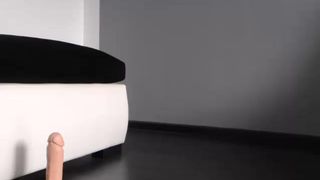 hondagirl 18-09-2019 2