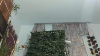 Lydia_laurel webcam recording 2014 November 14_09-24-58