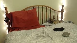 Xsecret_fuckit cam recording 2014 November 12_12-37-26