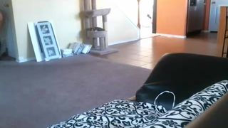 Miss_bee webcam recording 2014 November 12_02-05-16