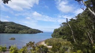 Forest_nymph - Island Adventure premium video