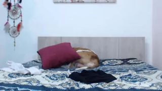 carolinemel 2019-09-20