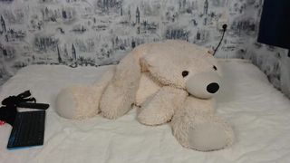 stunninggirls 2019-10-22