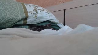 A3 nooraolsen 03-01-2018