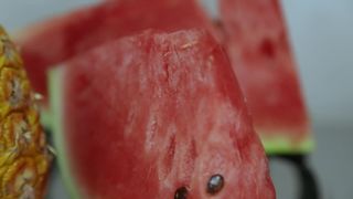 AnaNSofia Clip Lesbian Couple