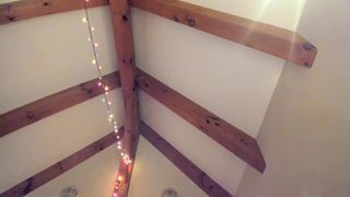 lillypadx_3_november_2019