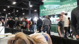 surecakes paddle 2019-10-26