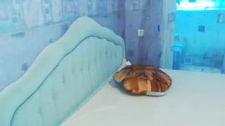 perfect_cutie Pussy Play (2017-03-08)