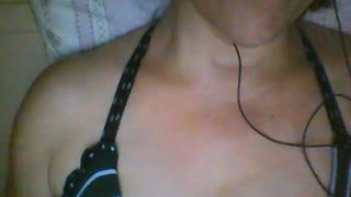 Cingaucha 7
