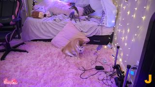 blazefyre - Dog Licking Dildo on Fucking Machine