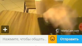 OneWayTicket  Ula2015  ШЛЮХАМ МЕСТО НА ПАНЭЛИ... 18