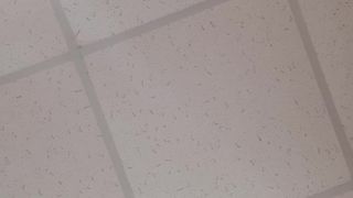 Dzintars_fun webcam show 2019-11-20_13-53-31_054