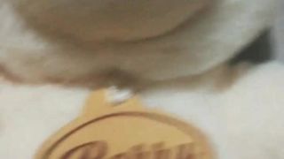 Arteria_ webcam show 2019-11-21_17-51-58_668